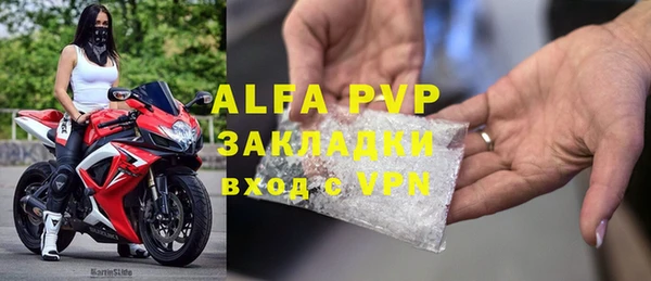 индика Кукмор