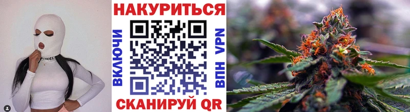 Шишки марихуана план  дарнет шоп  Шенкурск 